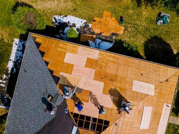 Best Storm Damage Roof Repair  in Freeport, IL