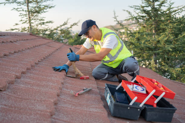 Best Residential Roofing Contractor  in Freeport, IL