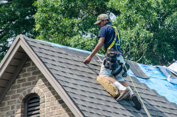 Best Roof Replacement Cost  in Freeport, IL